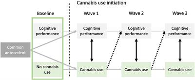 Cannabis and Cognitive Functioning: From Acute to Residual Effects, From Randomized Controlled Trials to Prospective Designs